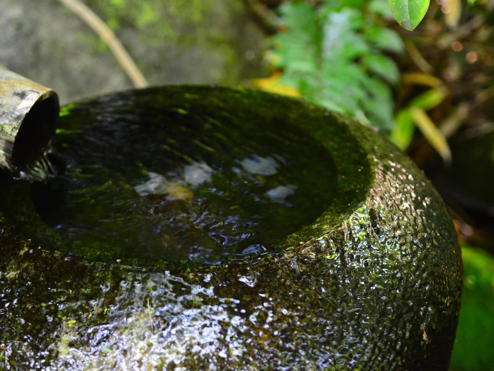 Yufuin Ryokan Nogiku Buitenkant foto